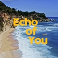 蓝爵醺调 - Echo of You