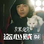 黑龙 - 盗心贼 (DJ阿亮版)