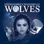 Wolves - Selena Gomez、Marshmello