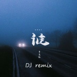 谁 (dj阿衡remix)