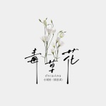 毒草花 (DJ版)