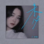 言瑾羽 - 未必 (DJ铁柱版)