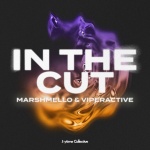 In The Cut (Explicit)