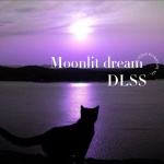 DLSS - Moonlit dream