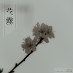 风吹雾