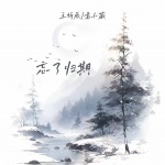 王忻辰、袁小葳 - 忘了归期