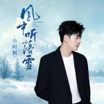 小阿枫 - 风中听落雪