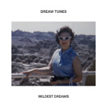 Dream Tunes - Wildest Dreams