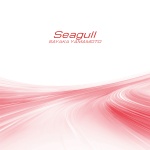 Seagull - 山本彩