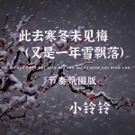 小铃铃 - 此去寒冬未见梅 (又是一年雪飘落)(DJ节奏氛围版)