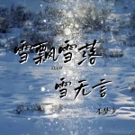 雪飘雪落雪无言 - 李梦兮