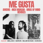 Me Gusta (Nick Morgan Remix)