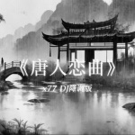 唐人恋曲 (x77 DJ降调版)