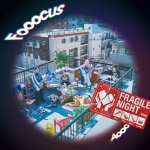 Fragile Night