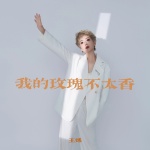 我的玫瑰不太香 (DJ九零版)