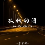 孤独的酒 (DJ彭锐版)