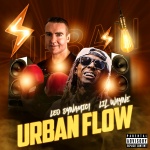 Urban Flow