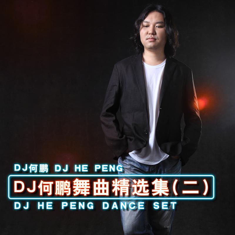 我从雪山来 (DJ版)_何鹏、林霞_高音质在线试