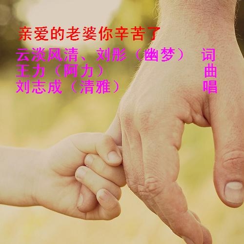 妻子你辛苦了简谱_老婆你辛苦了简谱(2)