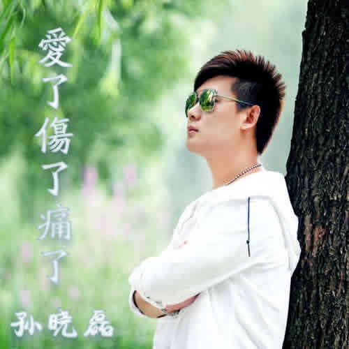 爱了给了伤了痛了,爱了给了伤了痛了原唱