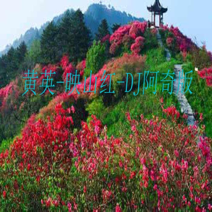 红_dj阿奇__高音质在线试听_映山红歌词|歌曲下载_映