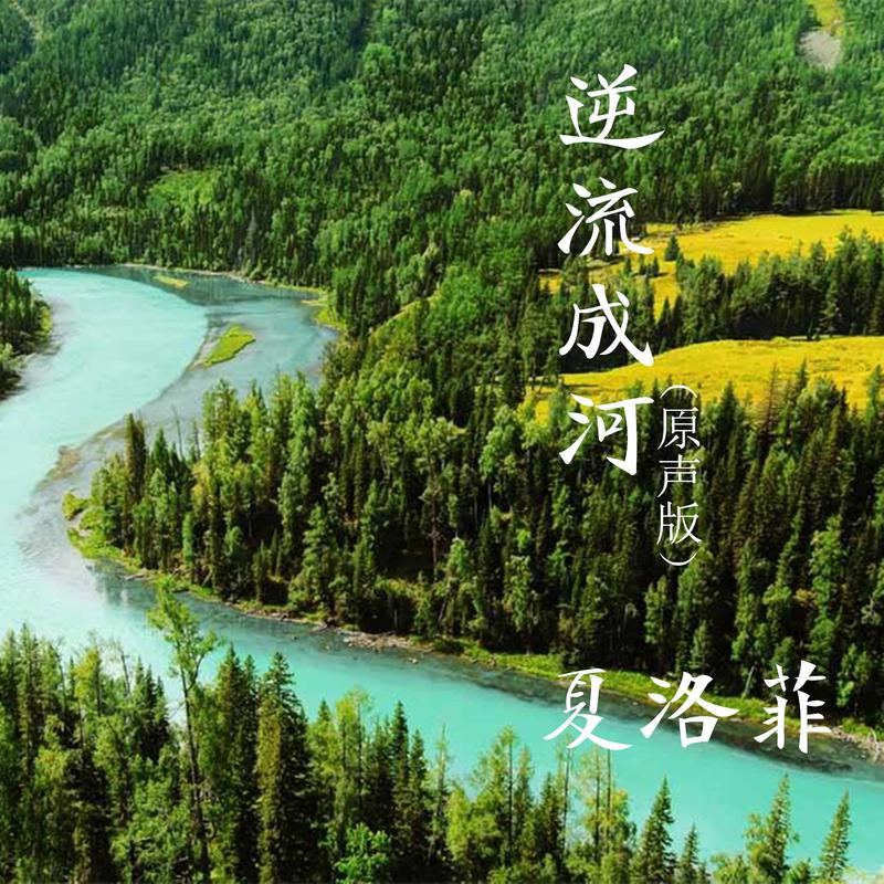 逆流成河动态曲谱(5)