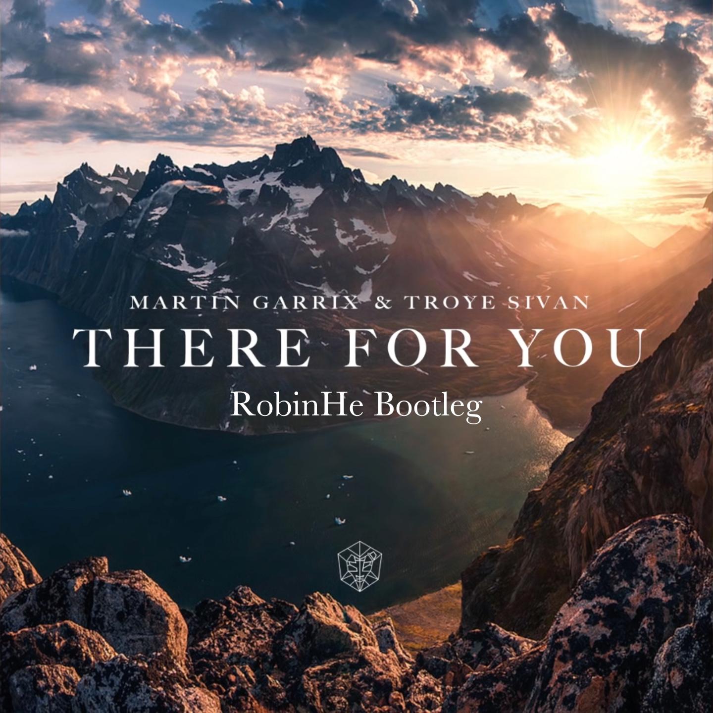 troye sivan,martin garrix - there for you (robinhe regon bootleg