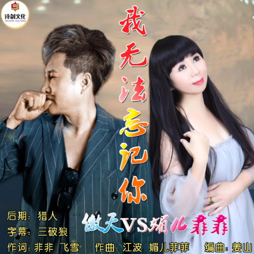 无法忘记你曲谱下载_无法忘记你图片(2)