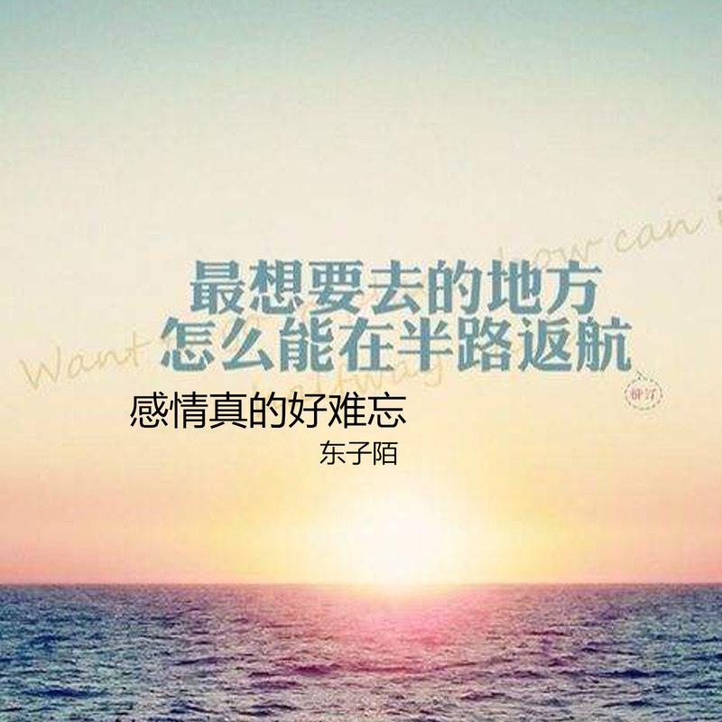 20180814230242674373.jpg
