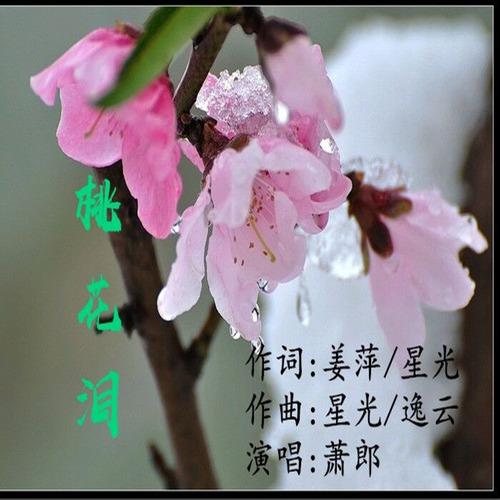 桃花泪的曲谱_秦腔人面桃花曲谱