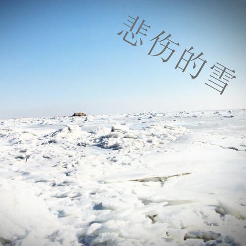 曲谱网伤心的雪花_伤心的雪花曲谱(2)