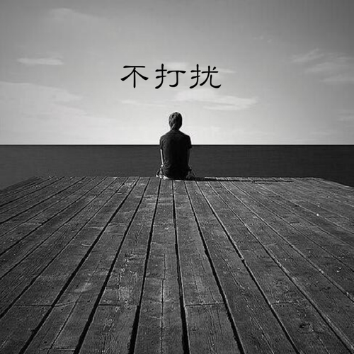 不打扰_舒心_高音质在线试听_不打扰歌词|歌曲