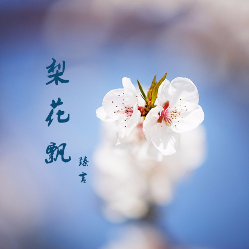 梨花飘简谱_爱随浪花飘去远方简谱(2)
