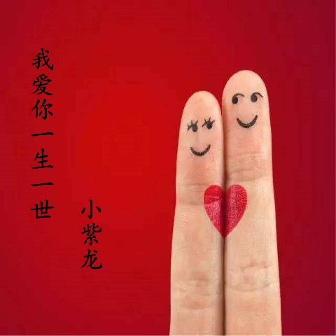 爱你一生歌曲谱_爱你一生一世图片(3)