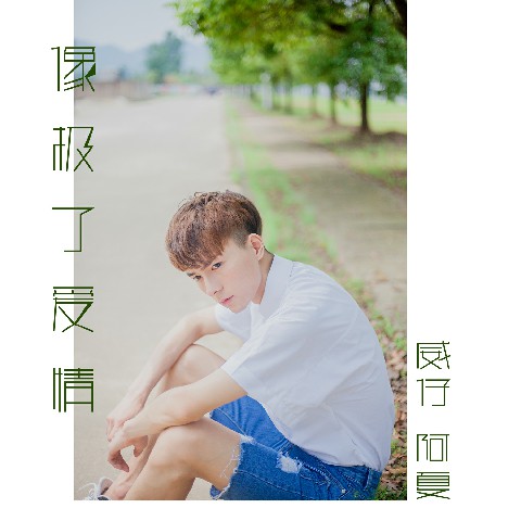 威仔,阿夏 - 像极了爱情