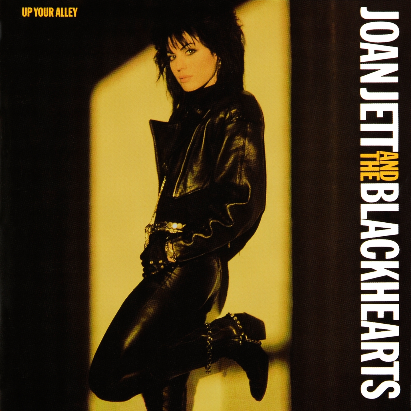 I Hate Myself For Loving Youjoan Jett And The Blackhearts高音质在线试听i Hate Myself For Loving You歌词 0062