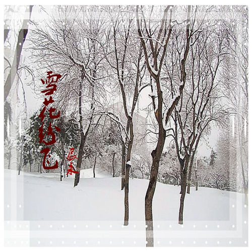 歌曲雪花飞曲谱_雪花啤酒图片