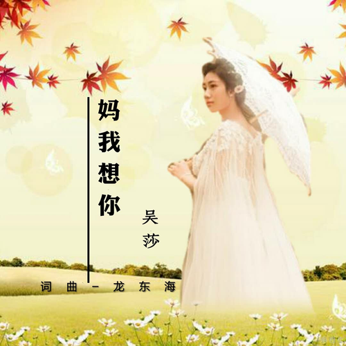 歌曲妈妈我想你简谱_妈妈我想你简谱