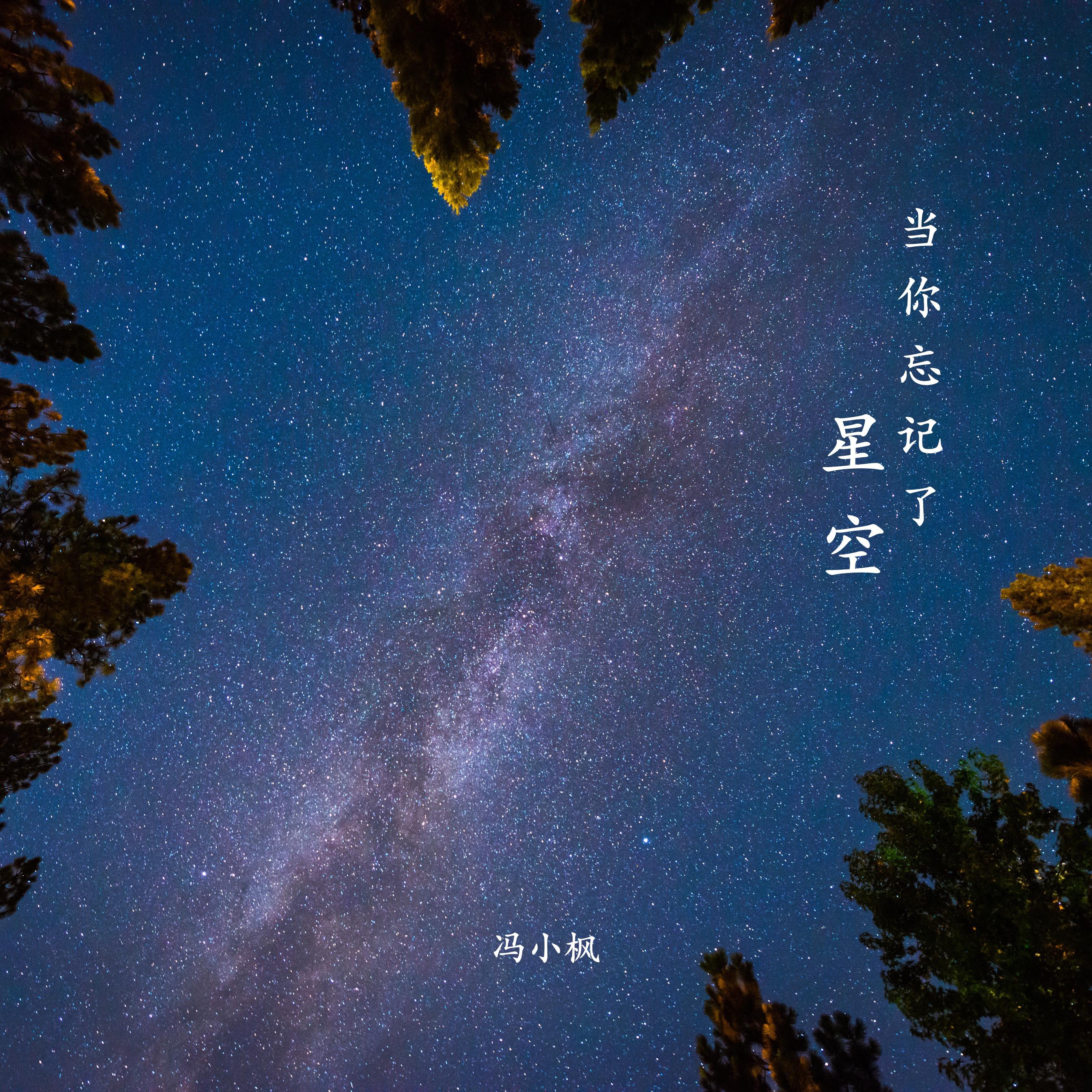 坠落星空伴奏曲谱_坠落星空古筝曲谱(2)