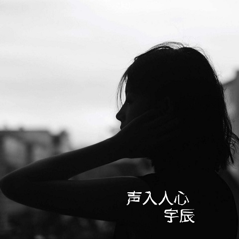 洪荒之力歌曲曲谱_洪荒之力图片(3)