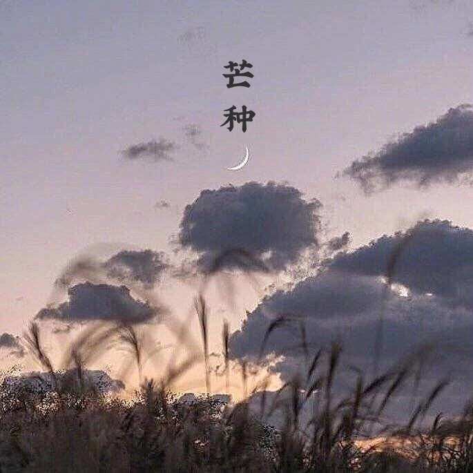 芒种_罗之豪_高音质在线试听_芒种歌词|歌曲下载_酷狗音乐