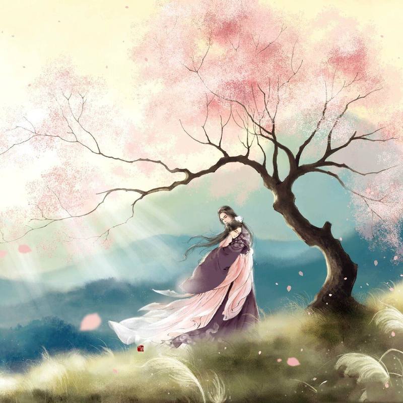 灿烂c.l - 杨花落尽子规啼