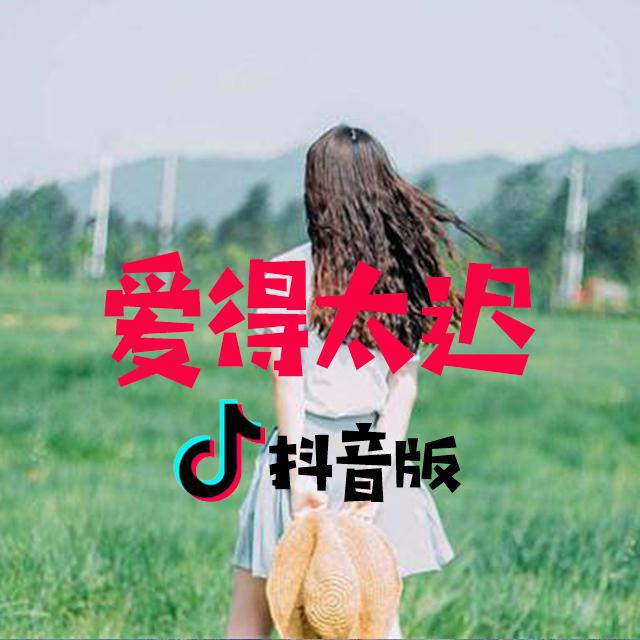 爱得太迟曲谱_爱得太迟简谱(2)