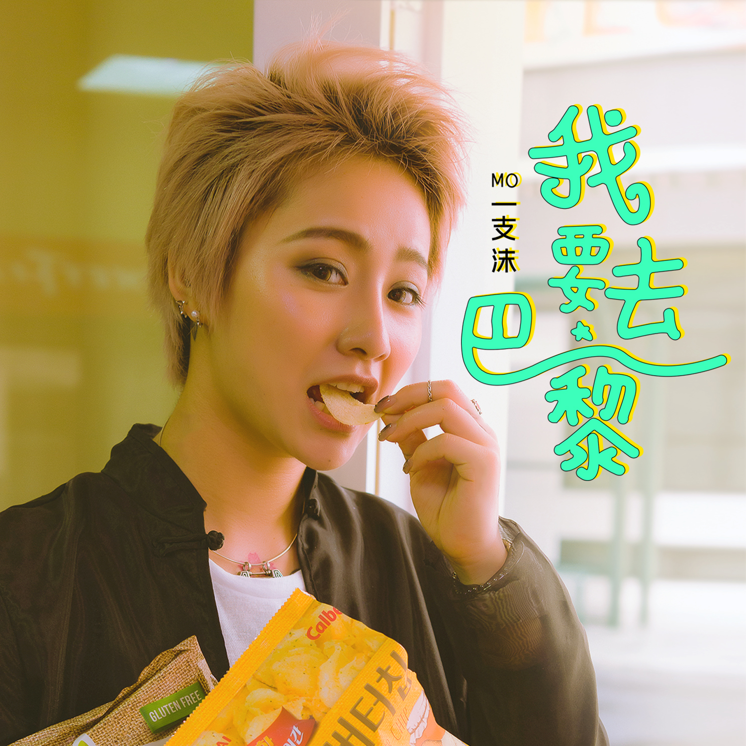 一支沫 - 我要去巴黎