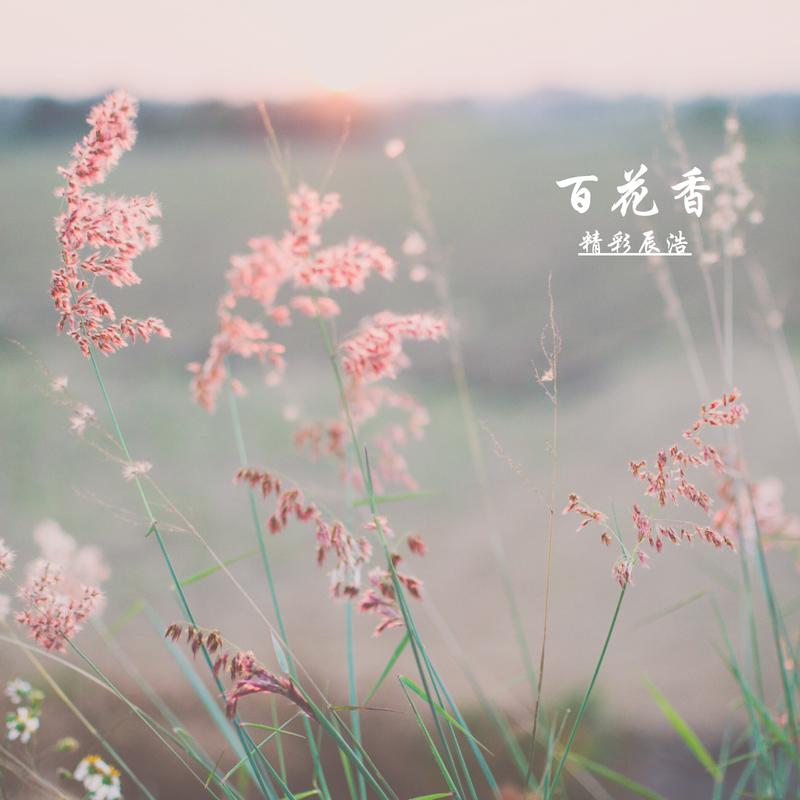 百花香简谱_百花香吉他谱 魏新雨 C调原版带前奏 弹唱谱(3)