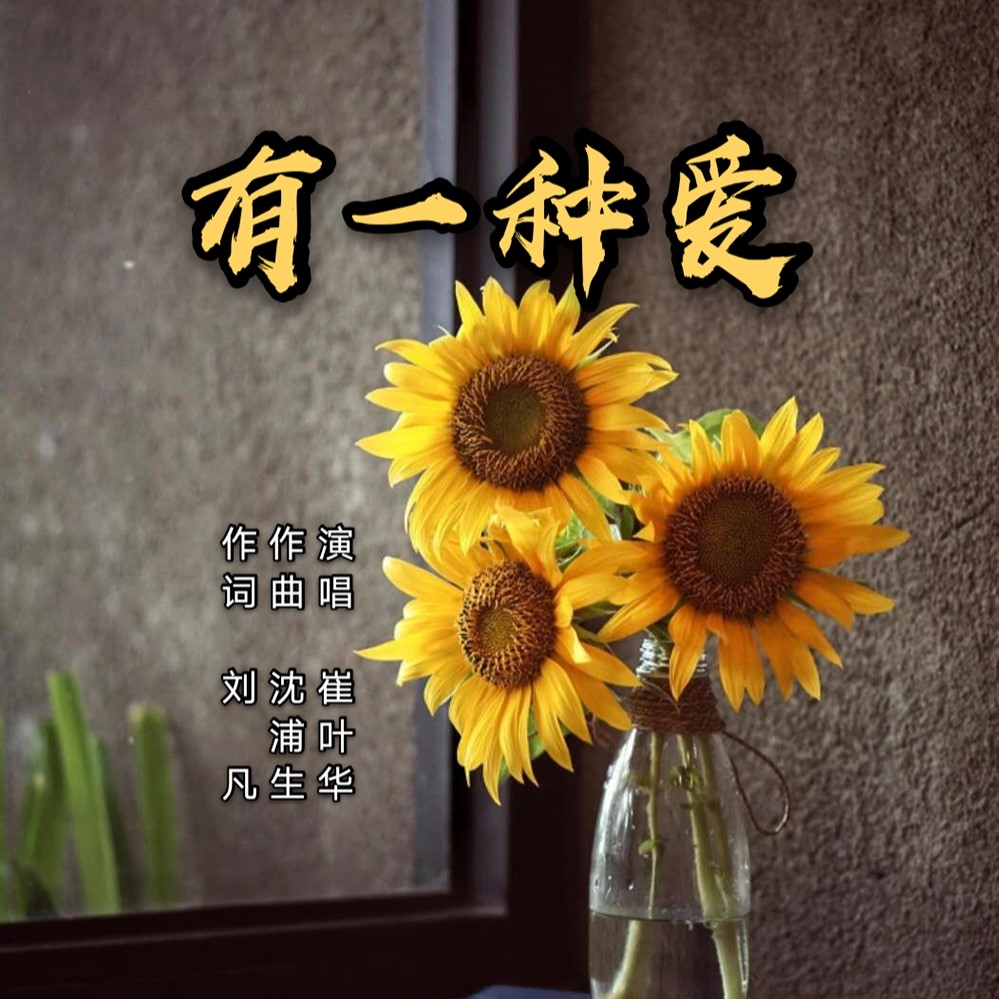 崔叶华 - 有一种爱