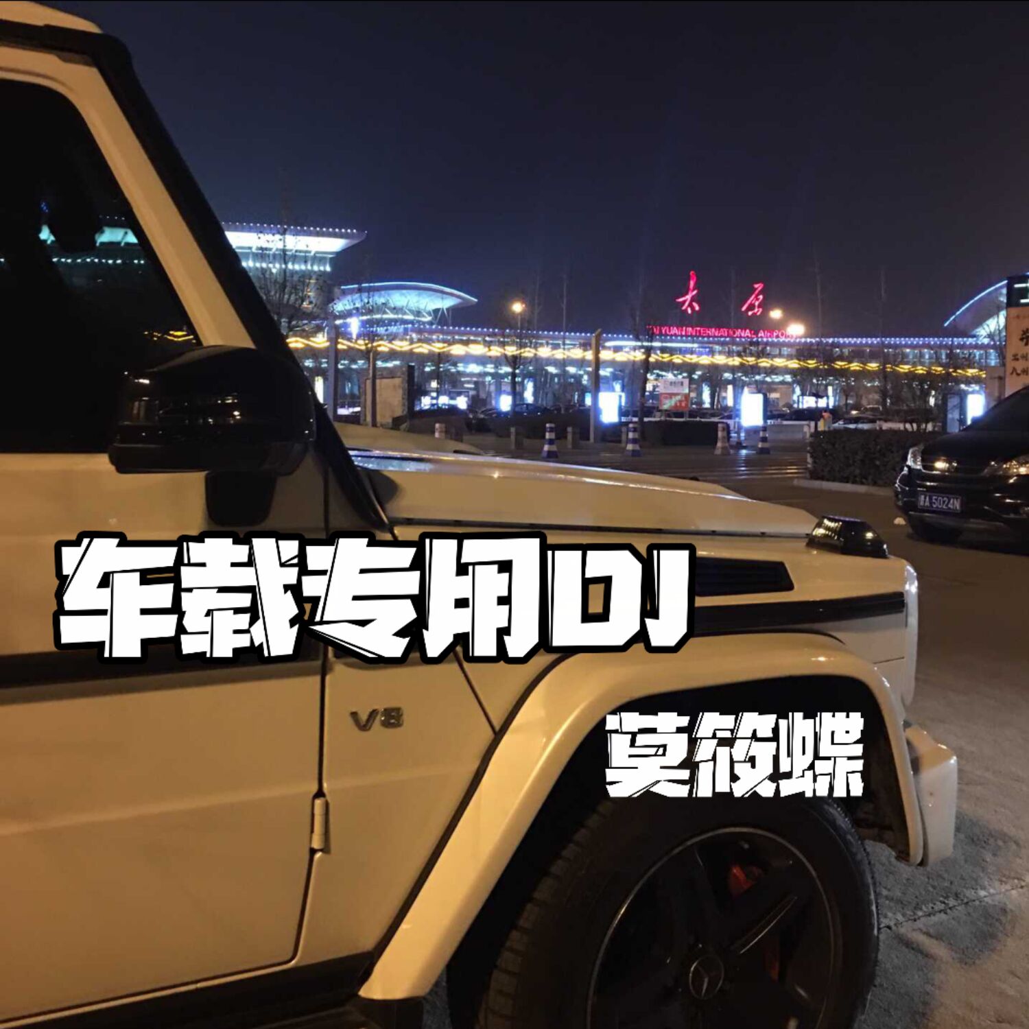 何为伴侣歌词 20200324164708398737.jpg