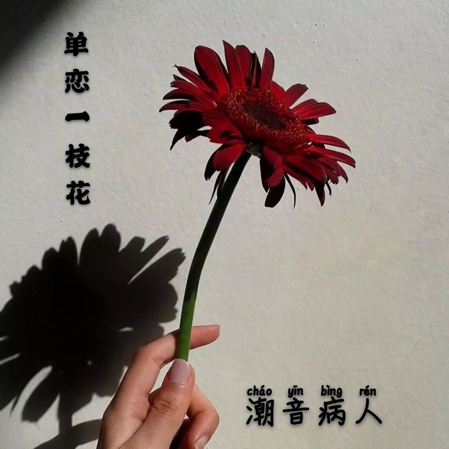 单恋一枝花吉他曲谱_单恋一枝花