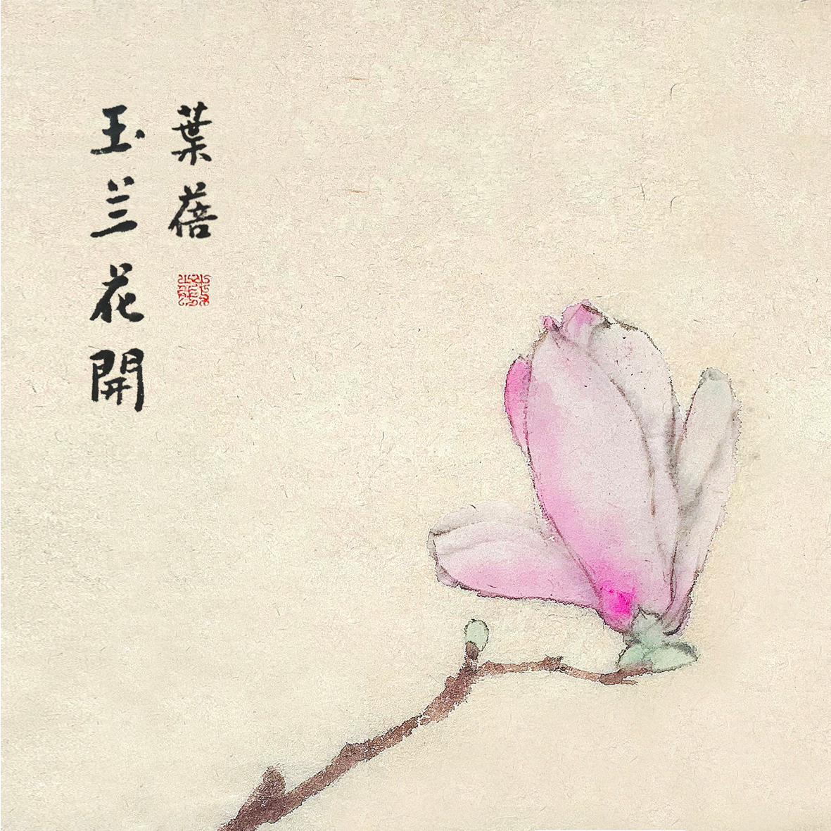 玉兰花曲谱_玉兰花国画(3)