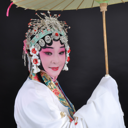 河南豫剧下载,河南豫剧下载免费mp4